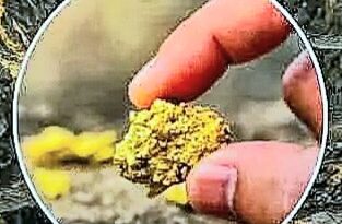 বিশ্বের অবহেলিত দেশ ‘উগান্ডার’ ভাগ্য কি এবার বদলে দেবে ৩১ মিলিয়ন মেট্রিক টনেরও বেশি স্বর্ণ আকরিক ?
