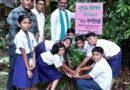 বৃক্ষরোপণ ও রাখি বন্ধন উৎসবের আয়োজন করলো হাবড়া বর্ণচোরার