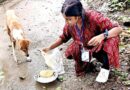 অবলা প্রানীদের এক বেলার খাওয়ালো “নীল আকাশ ” সংস্থা