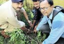বনগাঁ স্টেশনে বৃক্ষ আদান-প্রদান উৎসব থেকে সচেতনতার বার্তা ছড়িয়ে দিলেন সমাজসেবীরা