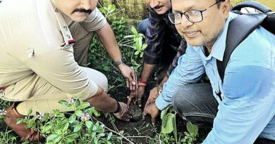 বনগাঁ স্টেশনে বৃক্ষ আদান-প্রদান উৎসব থেকে সচেতনতার বার্তা ছড়িয়ে দিলেন সমাজসেবীরা